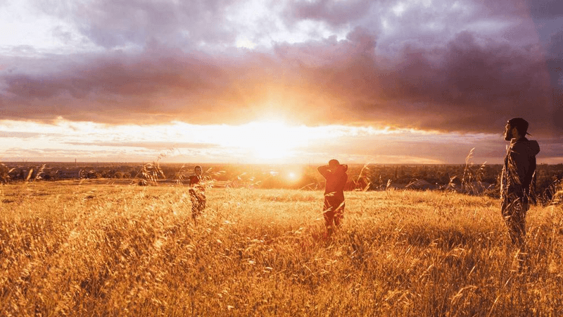 Camera - professional stock photography