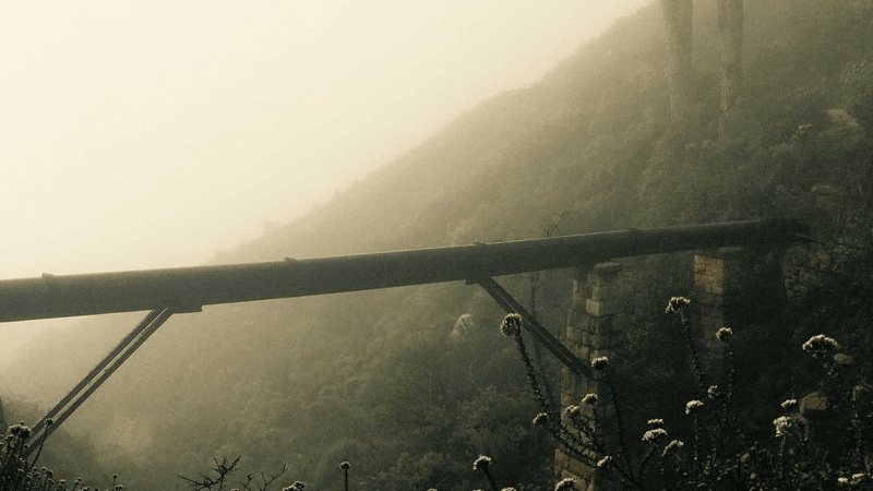 Earbuds - professional stock photography