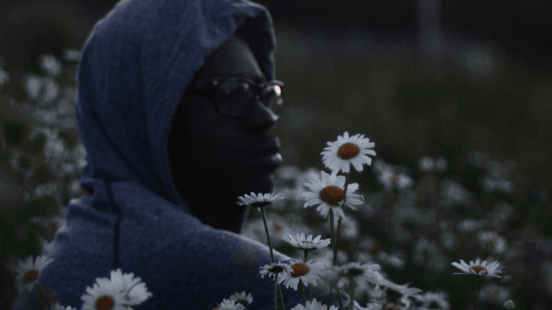 Gamepad - professional stock photography