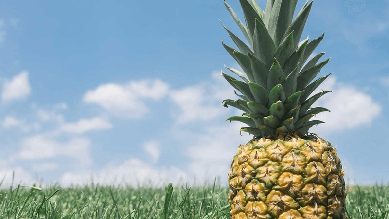 Gamepad - professional stock photography