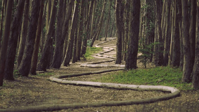 Keyboard - professional stock photography