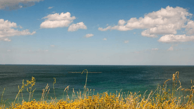 Microphone - professional stock photography