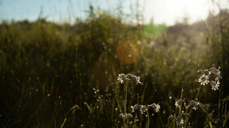 Monitor - professional stock photography