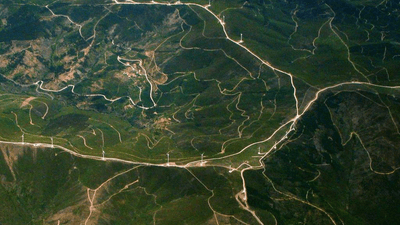 Mouse - professional stock photography