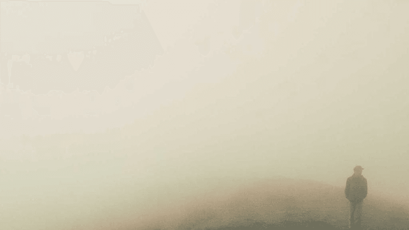 Mouse - professional stock photography