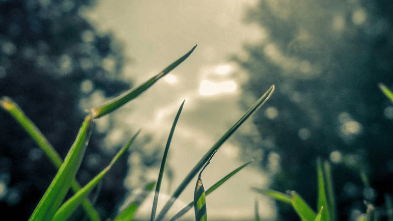 Power Bank - professional stock photography