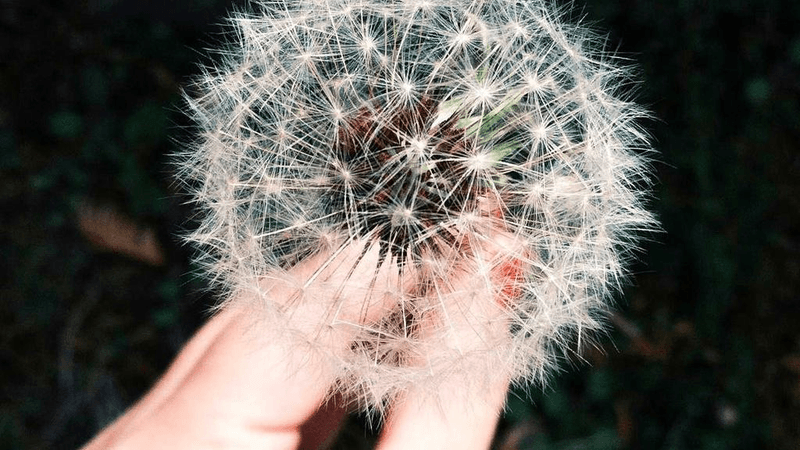 Printer - professional stock photography