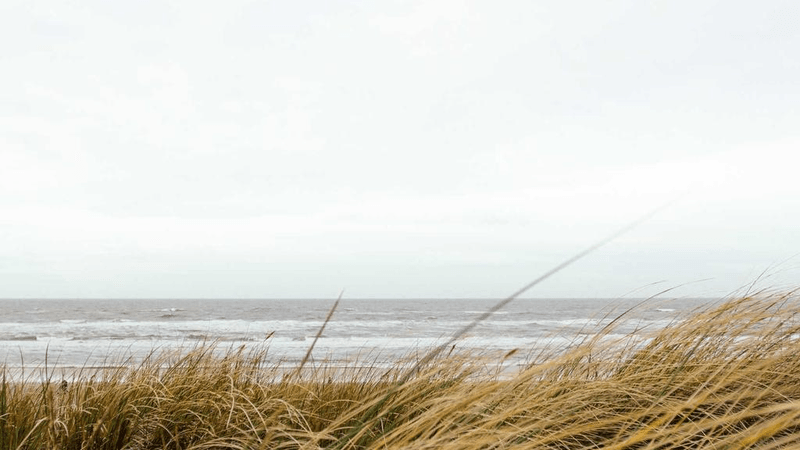 Projector - professional stock photography