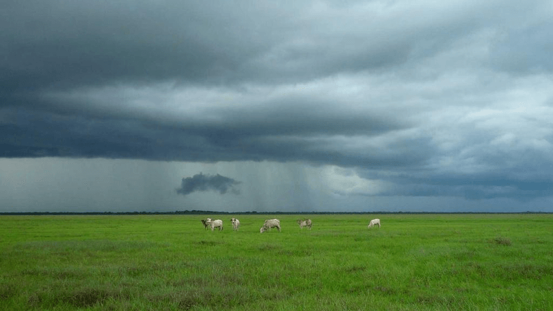 Router - professional stock photography