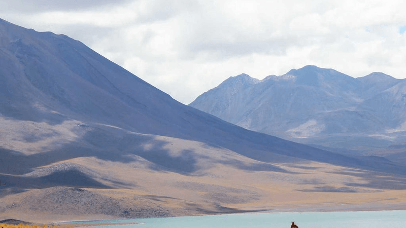 Smartphone - professional stock photography