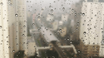 Tablet - professional stock photography