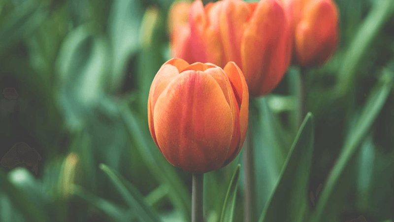 Usb Hub - professional stock photography
