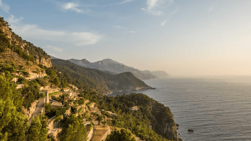 Webcam - professional stock photography