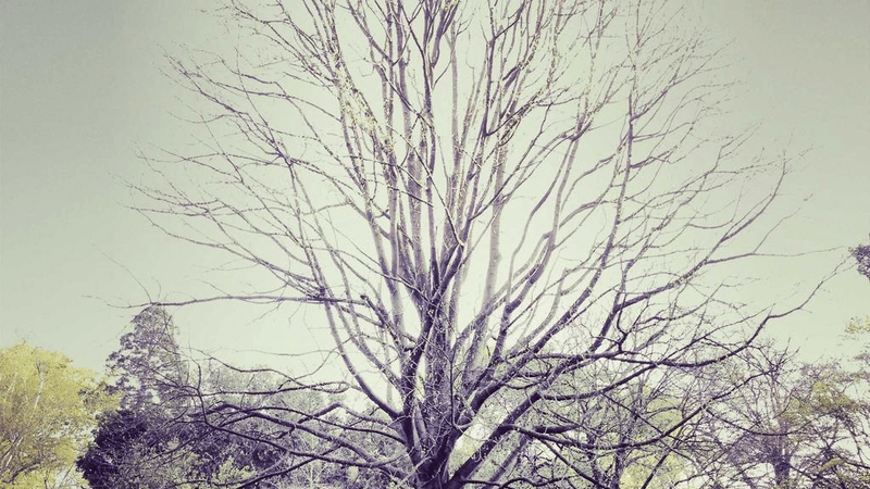 Webcam - professional stock photography