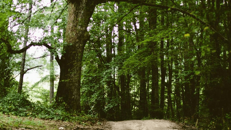 Webcam - professional stock photography