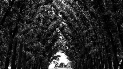 Webcam - professional stock photography